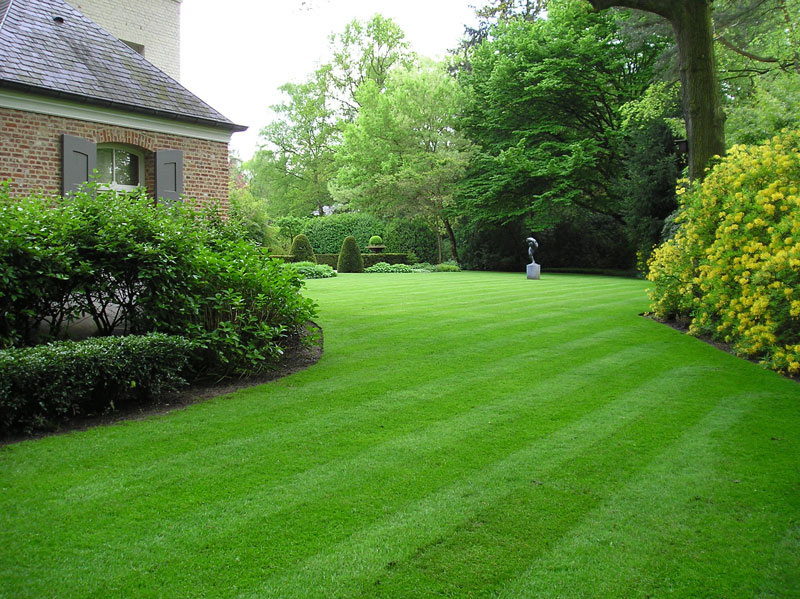 Verzorgde tuin